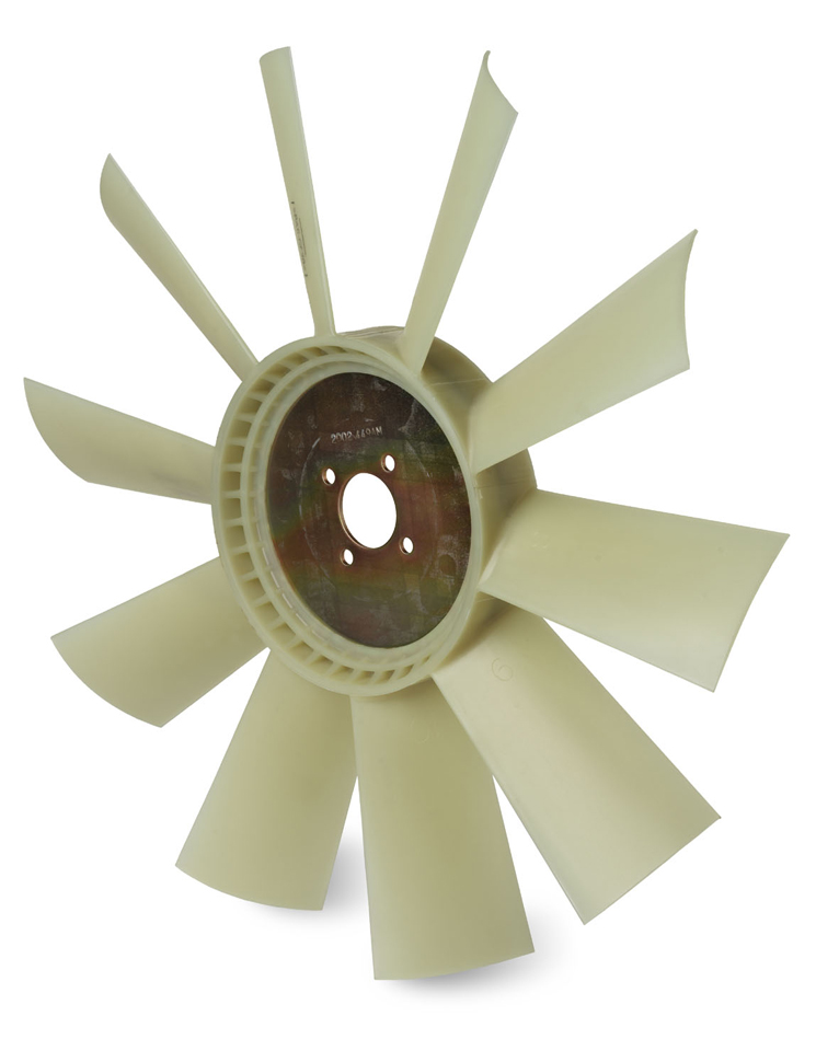 FAN