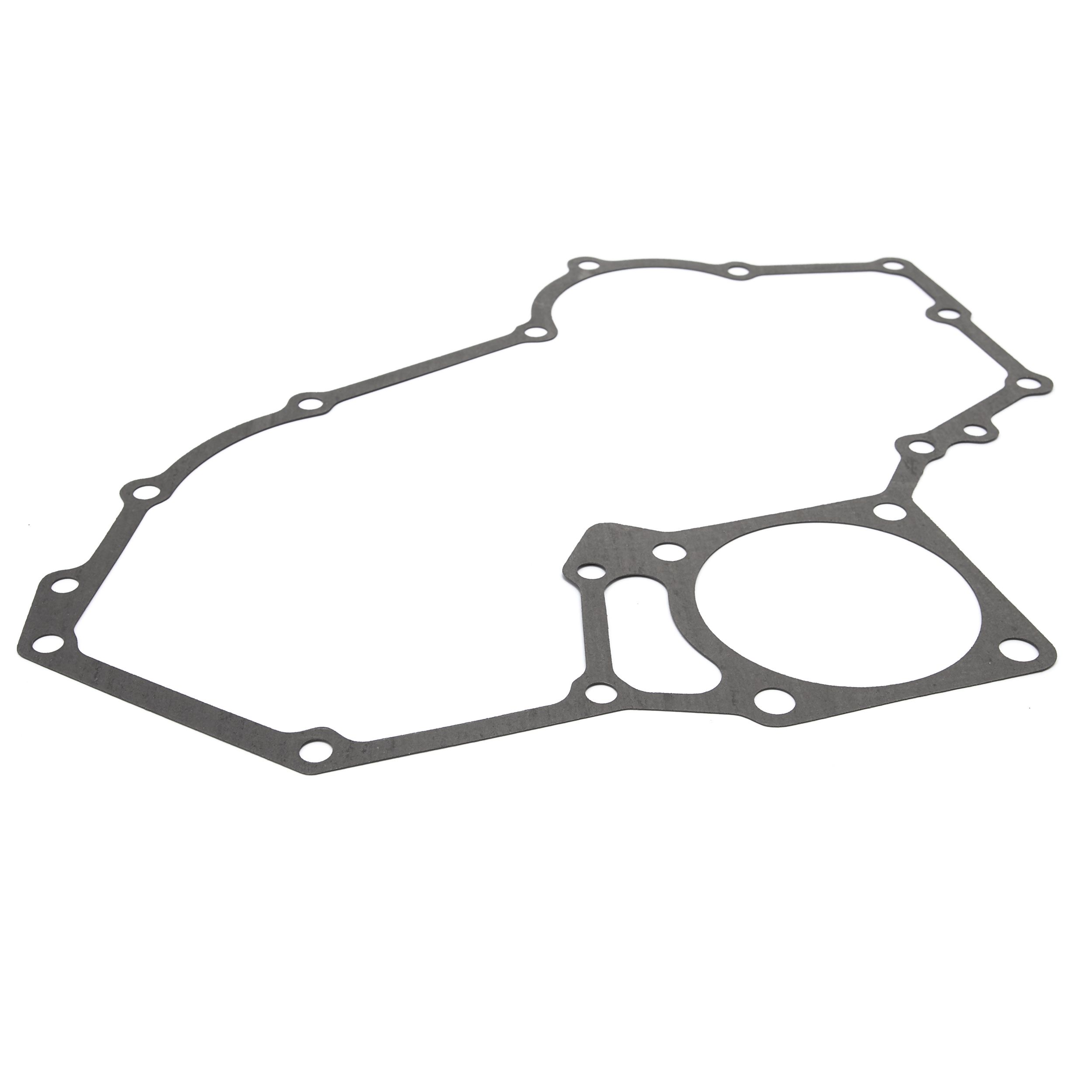 TIMING CASE GASKET